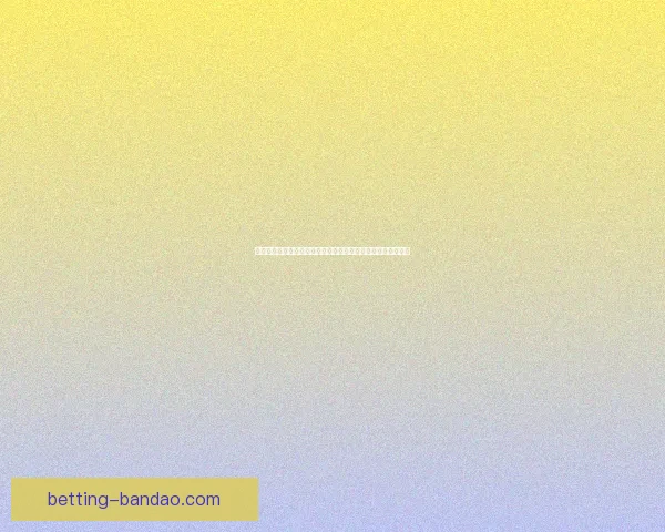 半岛体育官方发布全新赛事计划，提升球迷体验与国际交流合作